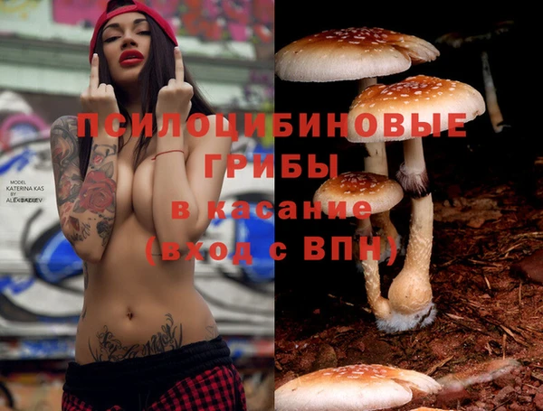 ешки Бородино