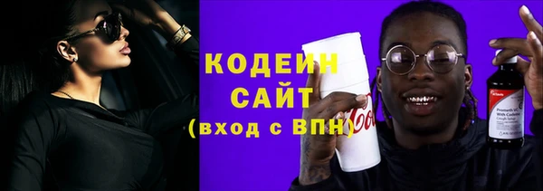 ешки Бородино