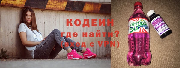 ешки Бородино