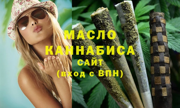 ешки Бородино