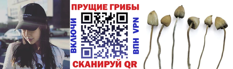 Псилоцибиновые грибы MAGIC MUSHROOMS  сколько стоит  Верхоянск 