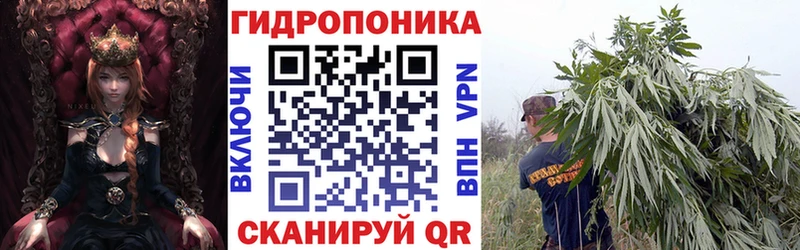 как найти   Верхоянск  Шишки марихуана MAZAR 